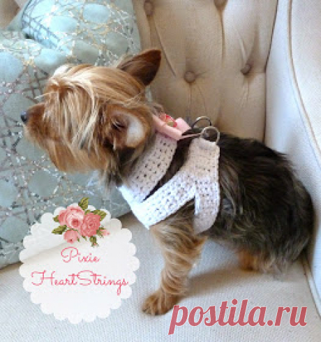Pixie HeartStrings: вязанная собачка для вашей крошечной собаки ~ FREE Pattern