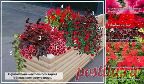 (79) Одноклассники