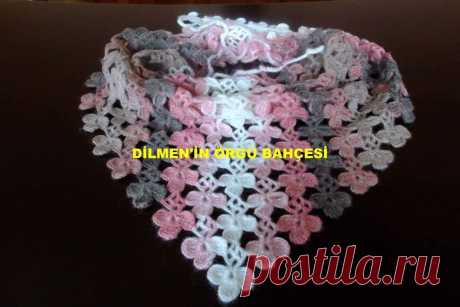 (5) Facebook