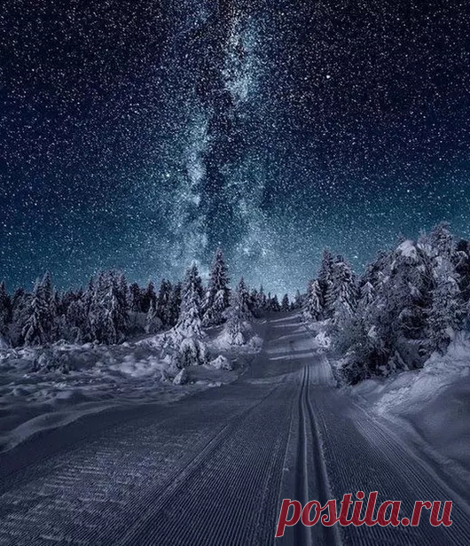 Google+