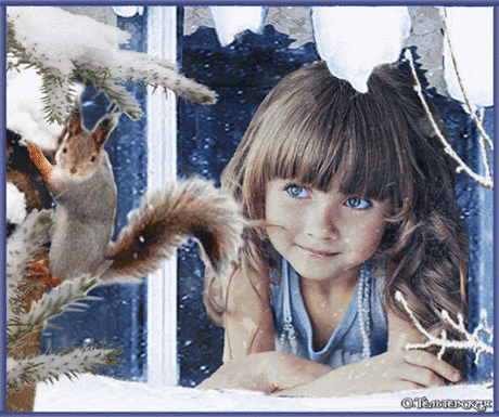 Живые фотографии – Google+