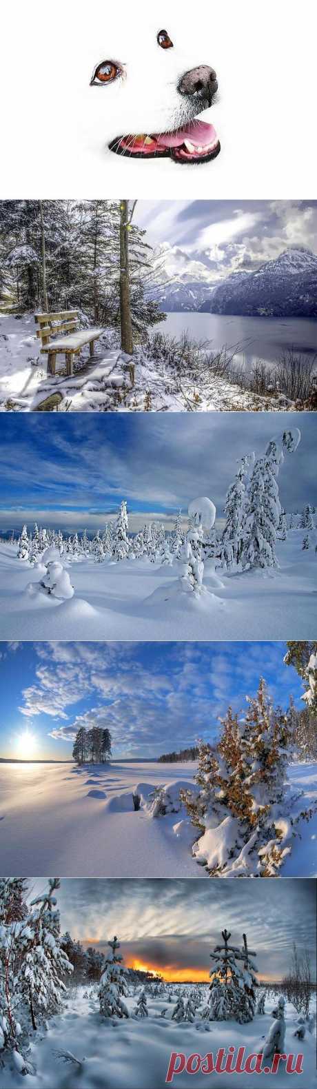 Белый — цвет зимы.