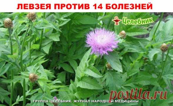 Одноклассники