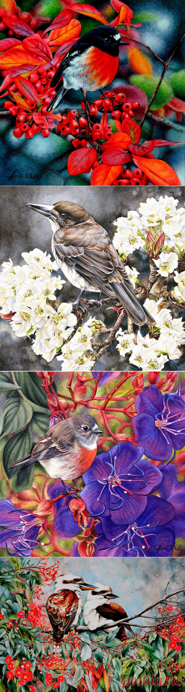Птицы в живописи Heidi Willis
