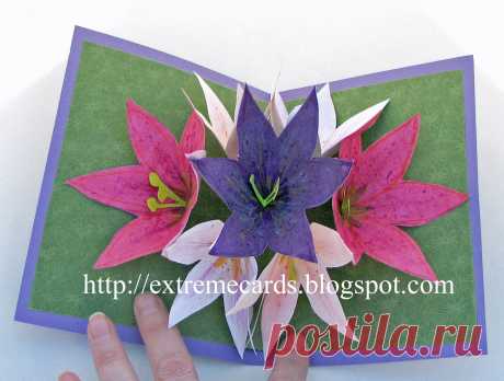 Extreme Cards and Papercrafting: Seven Flower Pop Up Card