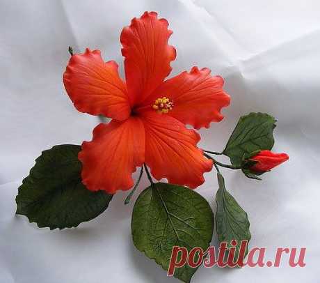 Гибискус - лепка из холодного фарфора.