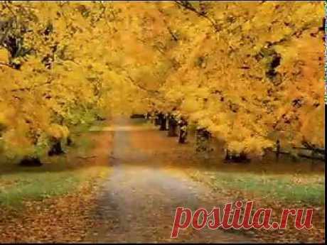 GIOVANNI MARRADI - Just for you.