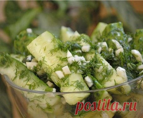 Закусочные огурцы