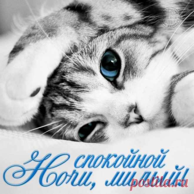 Пожелание спокойной ночи и сладких снов девушке в картинках — красивые анимированные и мерцающие 33 картинки ⭐ Забавник