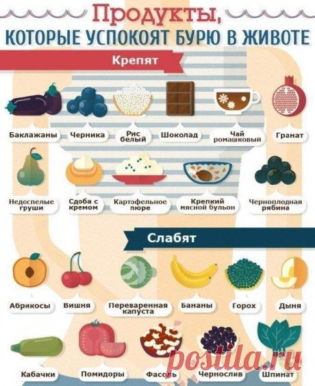 Продукты для пищеварения