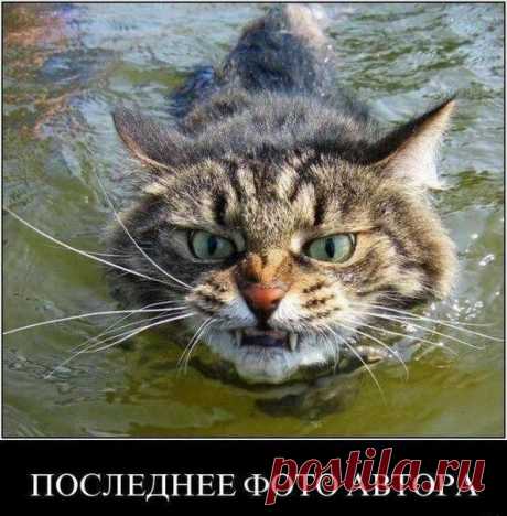 Мой Мир@Mail.Ru   ДОПЛЫВУ ТЕБЕ ПИПЕЦ !!!