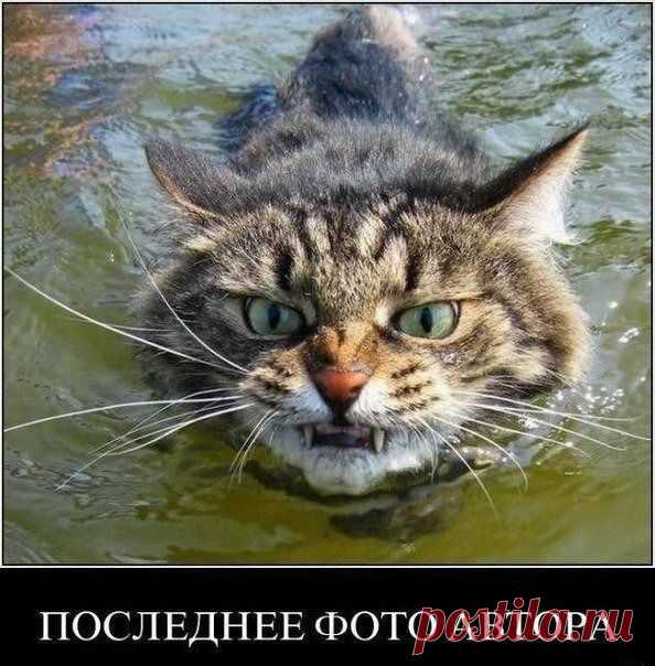 Мой Мир@Mail.Ru   ДОПЛЫВУ ТЕБЕ ПИПЕЦ !!!
