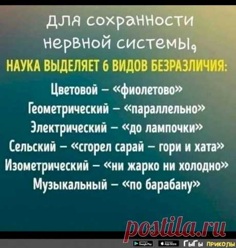 - Слушай, Вась, ты завтра сможешь от нашей команды побежать на соревнованиях офисных работников? - Пожалуй, смогу! - А как - спринтером на короткую дистанцию, или стайером - на длинную? - Давай с принтером! А тайер – это что? - Выпуск №2828