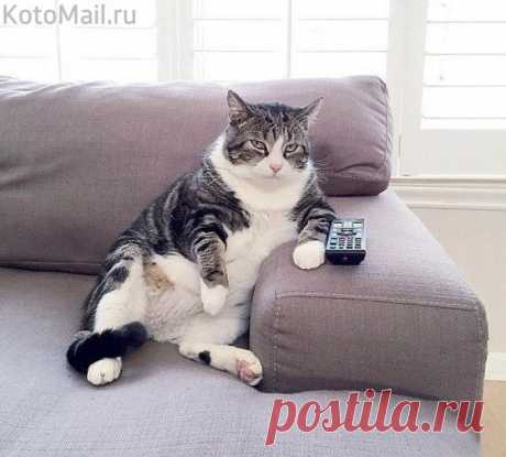 К выходным готов!