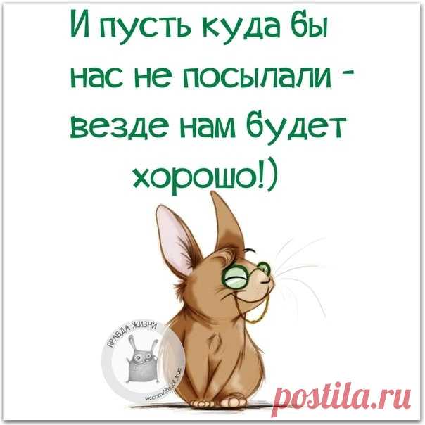 Правда Жизни | Юмор, Мотивация, Сарказм, Цитаты