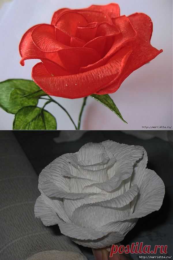 Очень красивые розы из гофрированной бумаги.