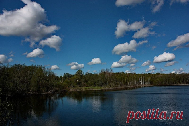 Яндекс.Фотки
