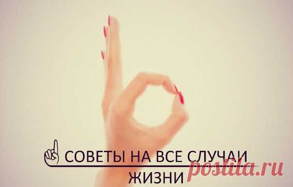 Полезные советы на все случаи жизни — Делимся советами