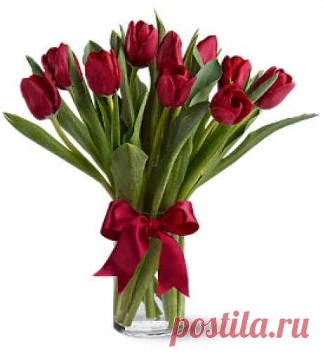 Abbotsford Florists - Flowers in Abbotsford BC - Abby's Flowers Plus