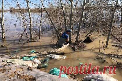 В тюменском селе Абатское остановился подъем уровня воды