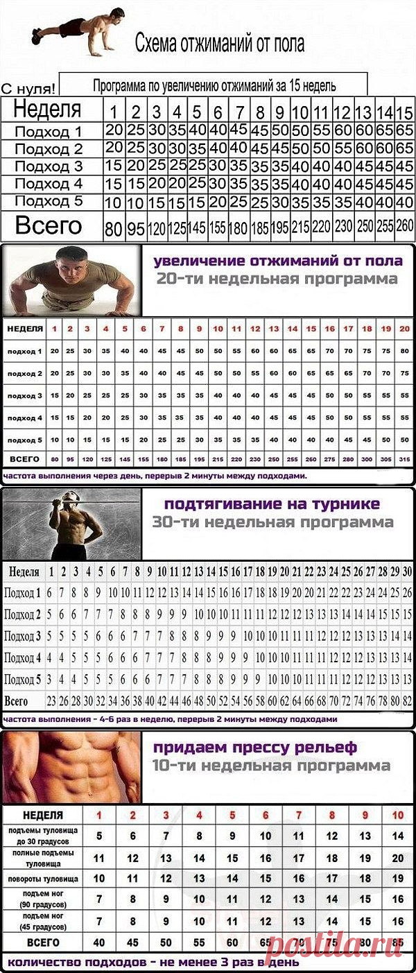 программа отжиманий за 15 недель. подтягивания на турнике 30 недель схема. программа отжиманий от пола на 15 недель. схема подходов отжиманий. схема отжиманий.