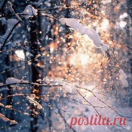 А знаешь.. А знаешь.. ведь ДУША так терпелива
Такой вот маленький комочек естества..
Порой кричит от жгучей боли и обиды
Но всё равно Жива....чуть дышит ...но Жива...
Ей бы найти укромный уголочек,
Чтоб отлежаться..да и ранки зализать..
Она переболеет...и вернётся
Ты только научись её немножко ждать...
Ей без тебя никак..она тобою дышит
С тобой рождается и умирает вновь..
Взлетает ввысь в безумстве мысли
И падает с тобой,разбившись в кровь...
ДУША так предана тебе..она не ...