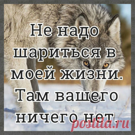 Лучшие статусы, цитаты и афоризмы — Разное | OK.RU