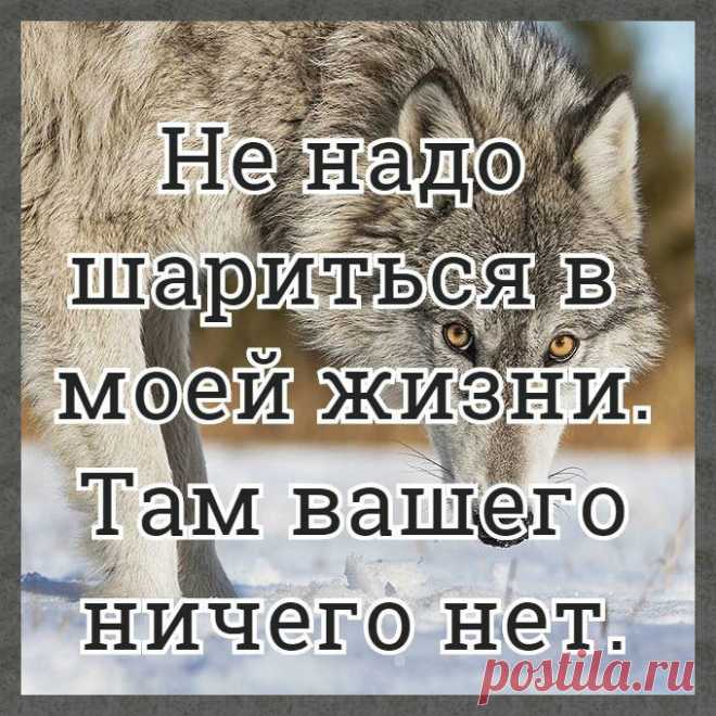 Лучшие статусы, цитаты и афоризмы — Разное | OK.RU
