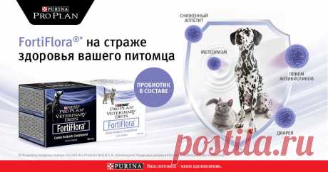 Пробиотик для кошек и собак FortiFlora от Pro Plan - ProPlan.ru FortiFlora от Pro Plan для восстановления микрофлоры кишечника вашего питомца. Кормовая добавка Pro Plan FortiFlora разработан специально для кошек и собак любого возраста.