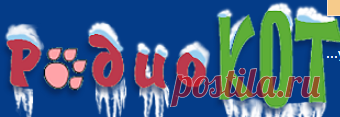 РадиоКот