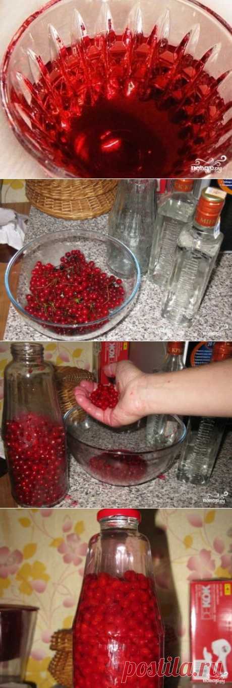 Наливка из калины - пошаговый кулинарный рецепт на Повар.ру