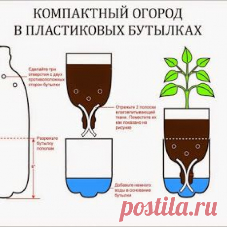 компактный огород в пластиковых бутылках