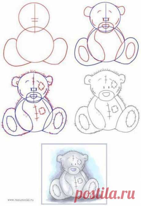 Поэтапно рисуем мишку