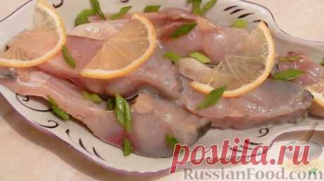 Толстолобик
