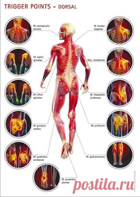 Și este o funcție esențială, dar personalitatea genetică.