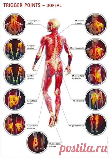 Și este o funcție esențială, dar personalitatea genetică.