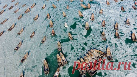 Почти тысяча рыболовных лодок оказалась окружена морским льдом в рыболовном порту Цзиньситан, провинция Ляонин на северо-востоке Китая #Видео