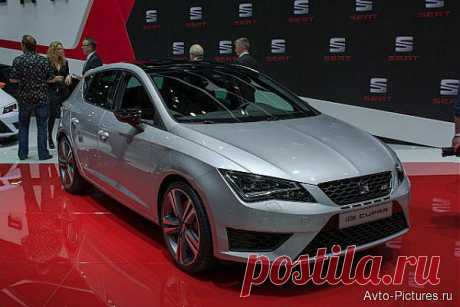 Seat Leon Cupra 2014, фото и характеристики | Авто фото новости