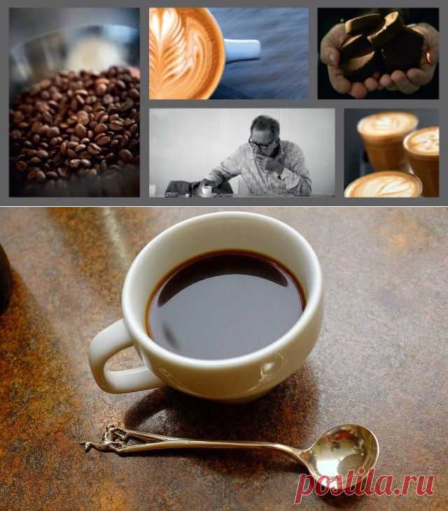Специально для кофеманов: факты и рецепты | Блог издательства «Манн, Иванов и Фербер»