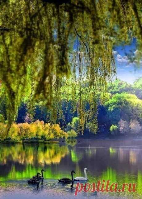 Фотохудожник Игорь Зенин.