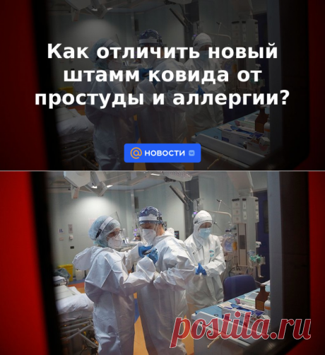 Как отличить новый штамм ковида от простуды и аллергии? | 26 апреля 2023 - Новости Mail.ru