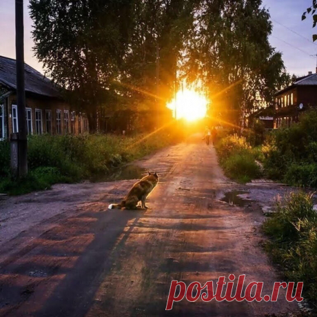 Не бойтесь, люди, завтрашнего дня, 
И будущим себя не напрягайте. 
Сейчас живите, мир в душе храня, 
И всё своей любовью освящайте.