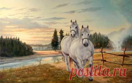Картинки лошади, трава, грива, живопись, белые на рабочий стол » Красивые