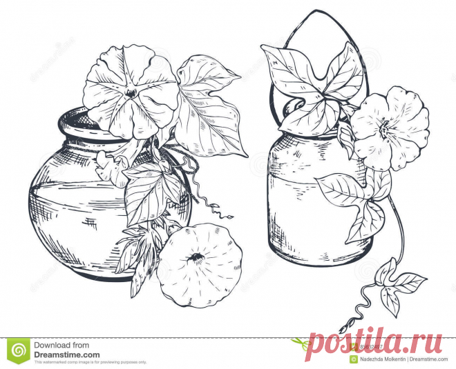 Bouquets With Hand Drawn Flowers And Plants In Vases Jars. Stock 120