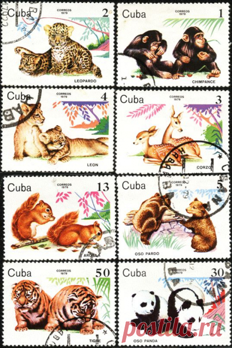 cuba-stamps-1979-children-animal.gif (537×806)