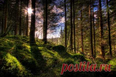 Удивительные HDR-фотографии Амунда Недланда (Amund Nedland) — Фотоискусство
