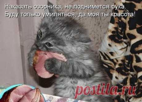 Корпорация Юмора ツ