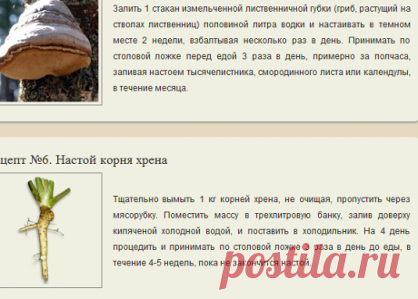 Лечение лямблии народными средствами (7 рецептов)