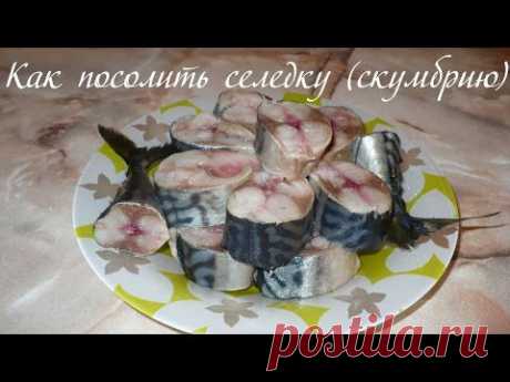 Рецепт вкусной соленой селедки или скумбрии - кулинарный рецепт