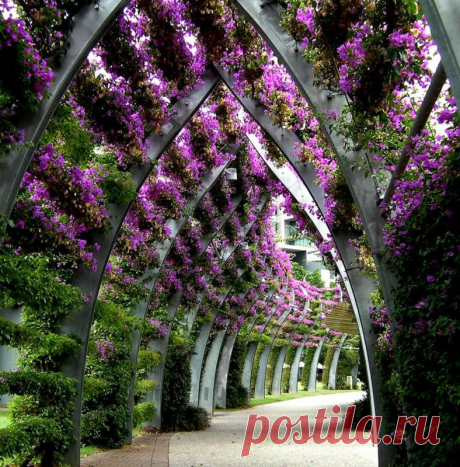 цветочный тоннель